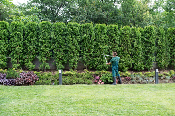 Lawn Grading and Leveling in Ancient Oaks, PA