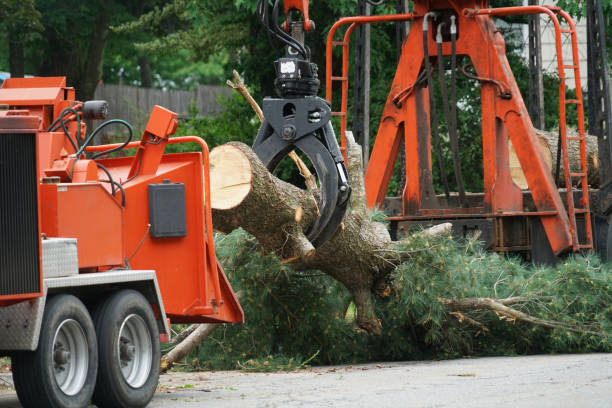 Best Soil Testing and Treatment  in Ancient Oaks, PA